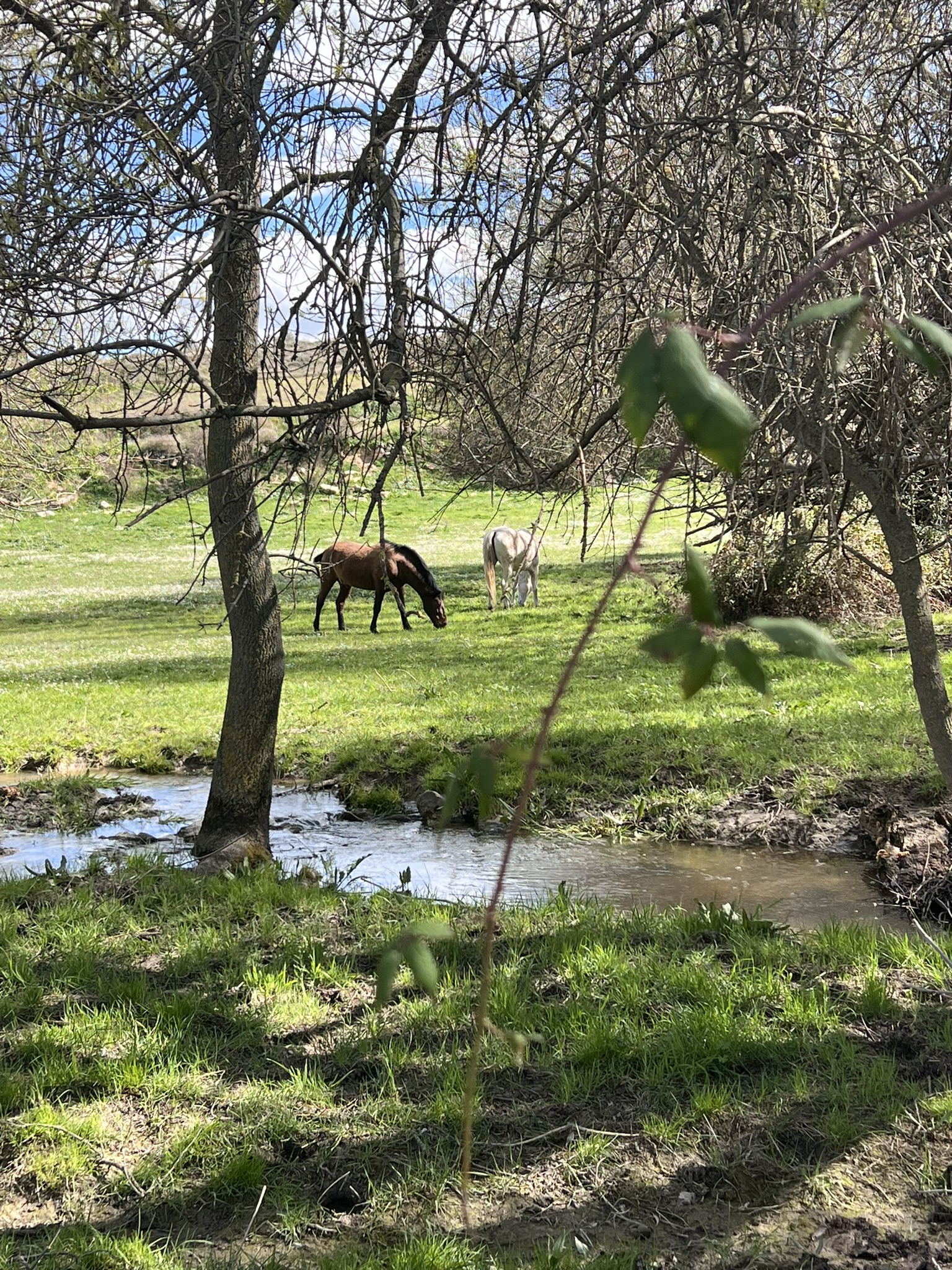 La importancia de reconectar con la naturaleza (aunque sea un fin de semana)